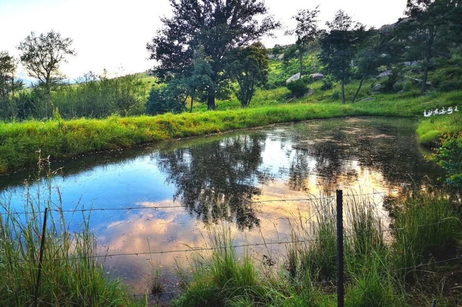 15 Bedroom Property for Sale in Harrismith Rural Free State